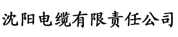 高义气洁白电缆厂logo